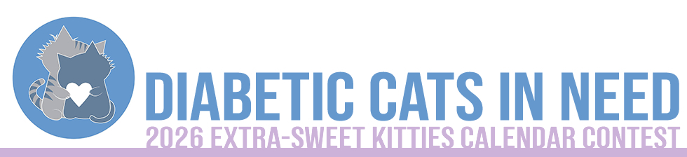 DCIN Calendar Contest Banner